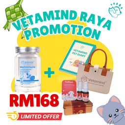 Vetamind Raya Promotion Package